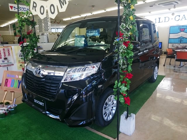 ルーミーの全体画像